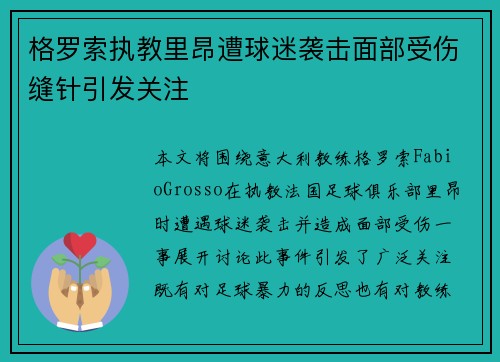 格罗索执教里昂遭球迷袭击面部受伤缝针引发关注 格罗索执教里昂遭球迷袭击面部受伤缝针引发关注